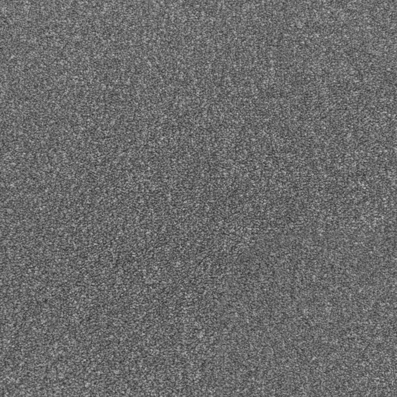 Cinder Grey Apollo Plus Carpet