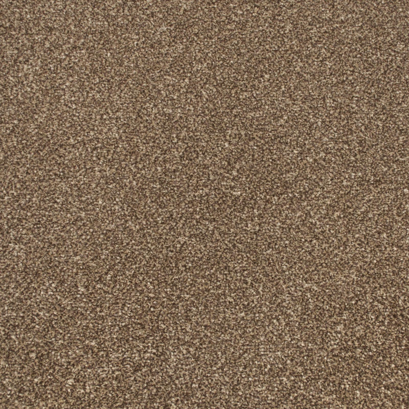 Cork Oak Apollo Plus Carpet