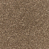 Cork Oak Apollo Plus Carpet