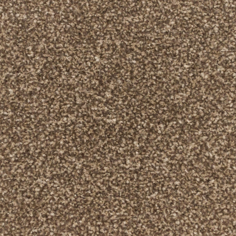 Cork Oak Apollo Plus Carpet