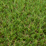 Cranberry 22mm Artificial Grass