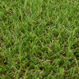 Cranberry 22mm Artificial Grass