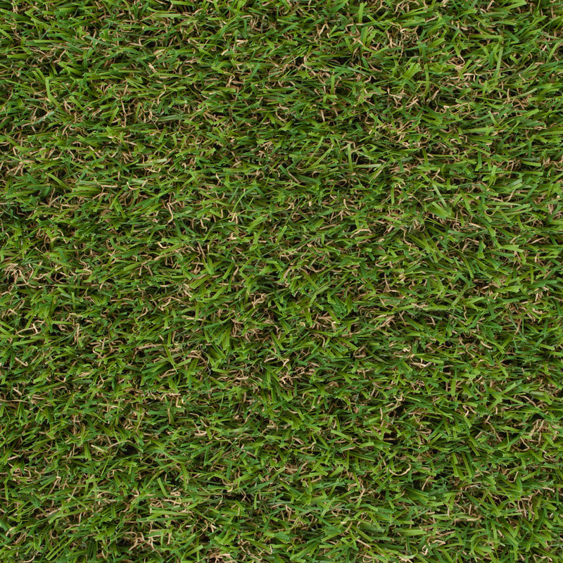 Cranberry 22mm Artificial Grass