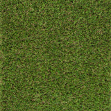 Cranberry 22mm Artificial Grass