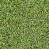 Durian 17mm Artificial Grass