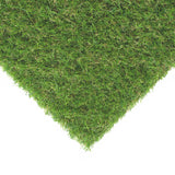 Gardenia 30mm Artificial Grass