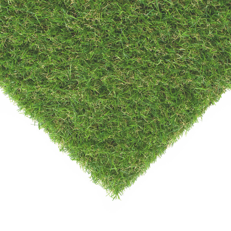 Gardenia 30mm Artificial Grass