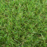 Gardenia 30mm Artificial Grass