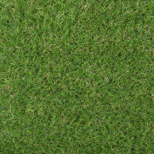 Gardenia 30mm Artificial Grass