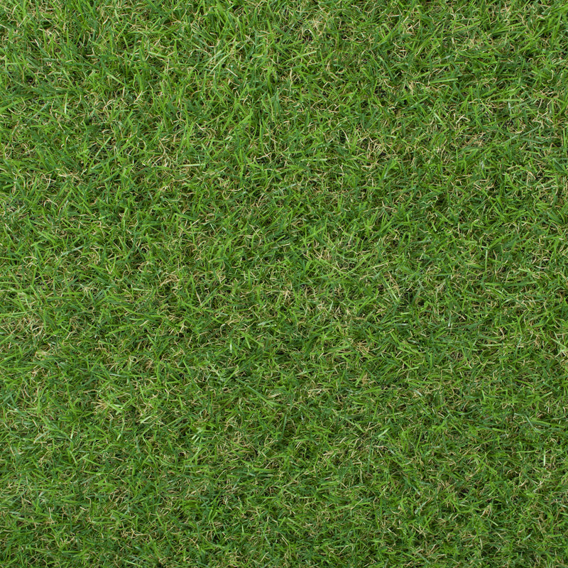 Gardenia 30mm Artificial Grass