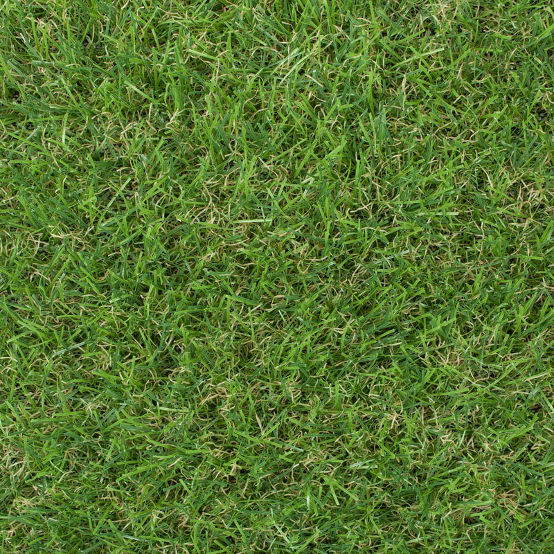 Gardenia 30mm Artificial Grass