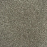 Grey Beige Belton Felt Back Twist Carpet