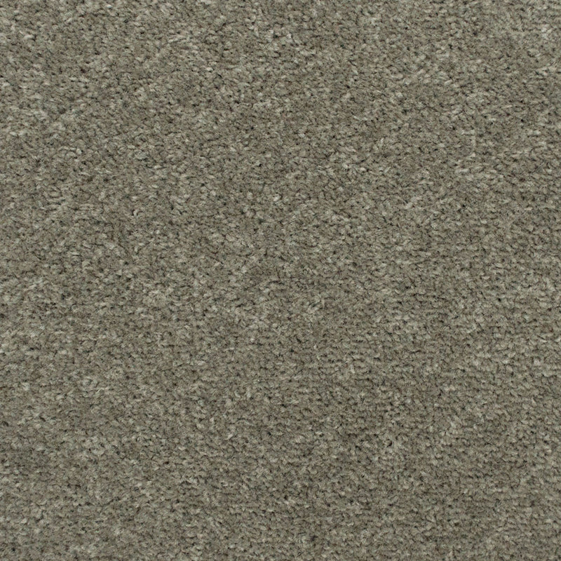 Grey Beige Luton Action Back Twist Carpet
