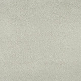 Lakeland Mist Sensation Heathers 60oz Carpet