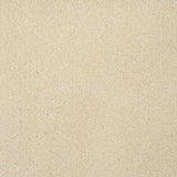 Latte 36 Sirius 70oz Invictus Carpet