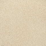 Latte 36 Sirius 70oz Invictus Carpet