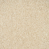 Latte 36 Sirius 70oz Invictus Carpet