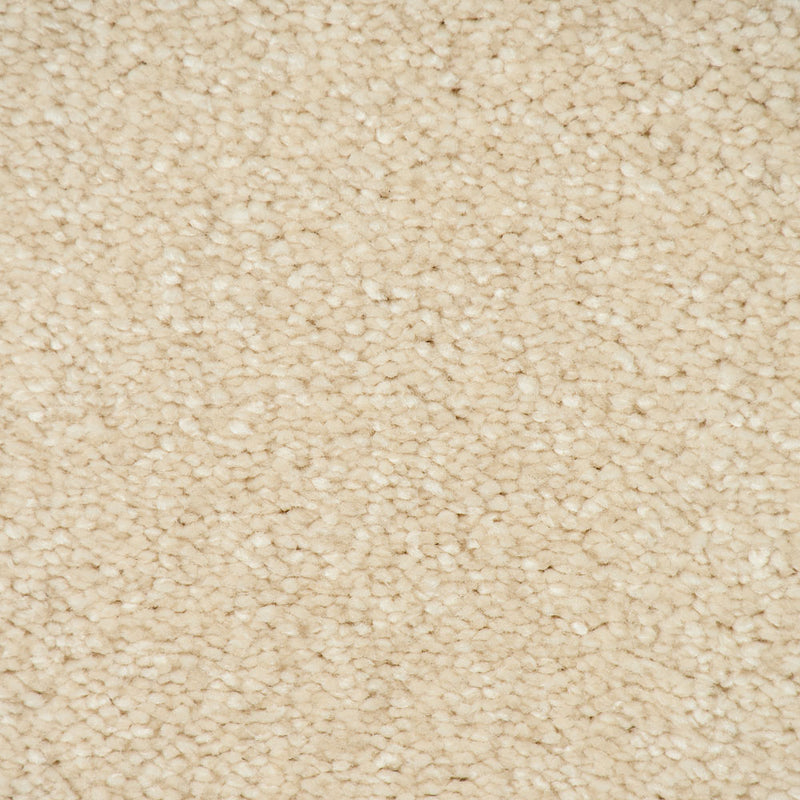 Latte 36 Sirius 70oz Invictus Carpet
