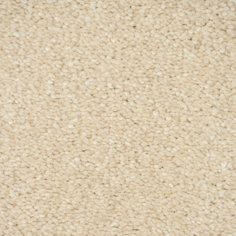 Latte 36 Sirius 70oz Invictus Carpet