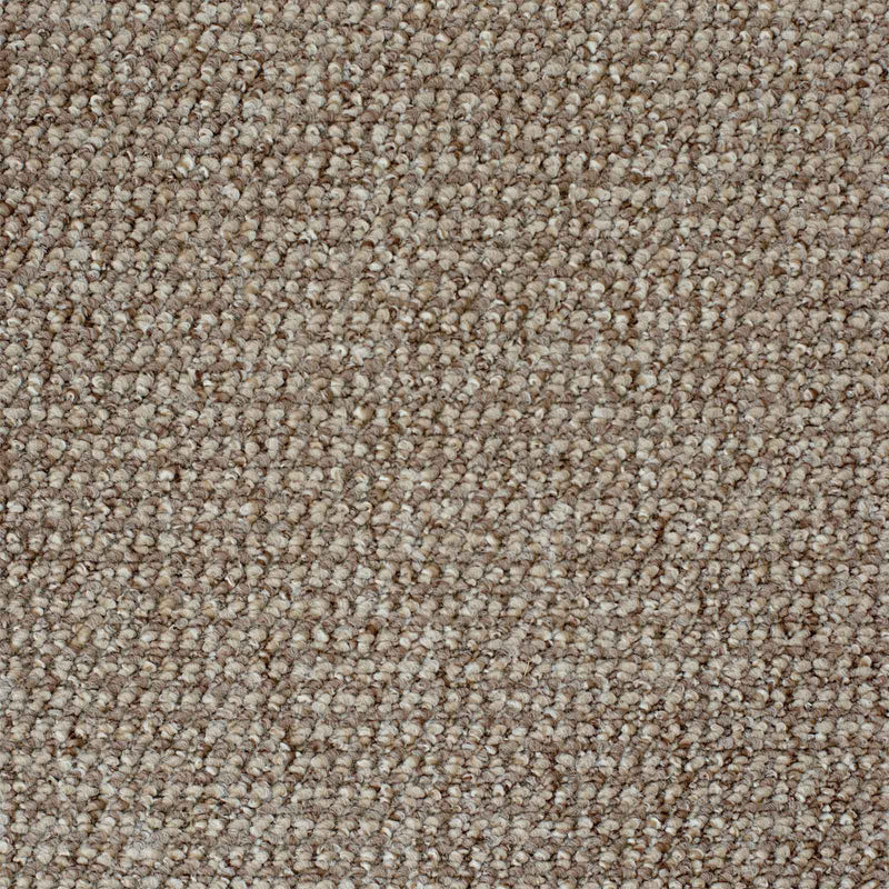 Light Beige Ronda Loop Carpet