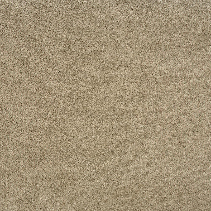 Light Taupe Sensation Original 60oz Carpet