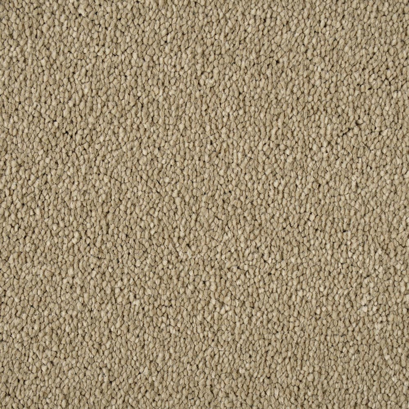 Light Taupe Sensation Original 60oz Carpet