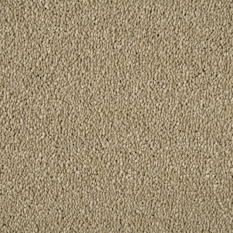 Light Taupe Sensation Original 60oz Carpet