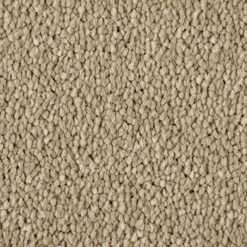 Light Taupe Sensation Original 60oz Carpet