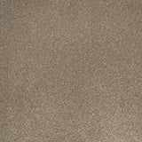 Manhattan Taupe Apollo Plus Carpet