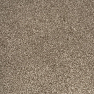 Manhattan Taupe Apollo Plus Carpet