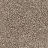 Manhattan Taupe Apollo Plus Carpet