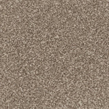 Manhattan Taupe Apollo Plus Carpet