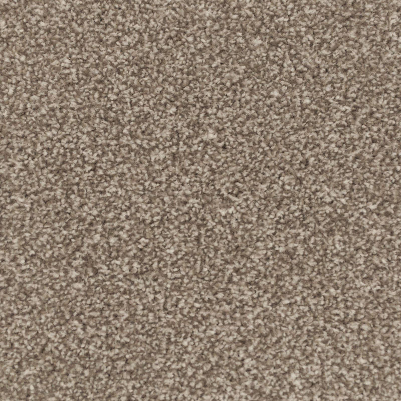 Manhattan Taupe Apollo Plus Carpet