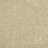 Monterey Sand Sensation Original 60oz Carpet