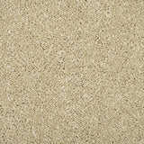 Monterey Sand Sensation Original 60oz Carpet