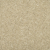 Monterey Sand Sensation Original 60oz Carpet