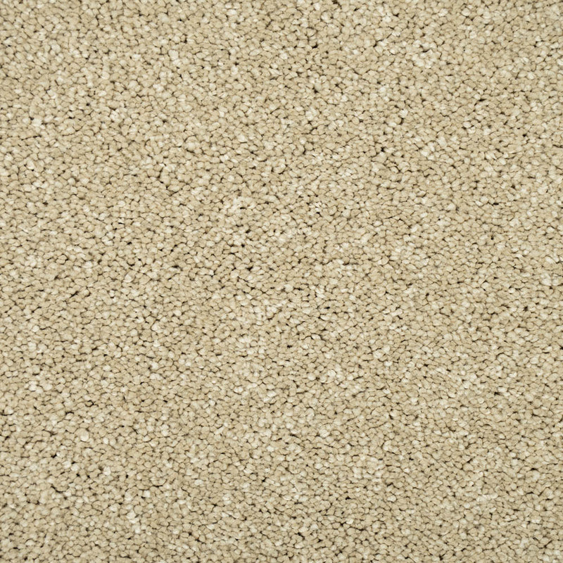 Monterey Sand Sensation Original 60oz Carpet