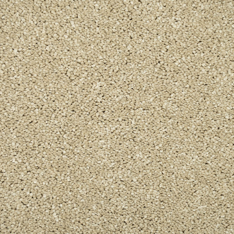 Monterey Sand Sensation Original 60oz Carpet