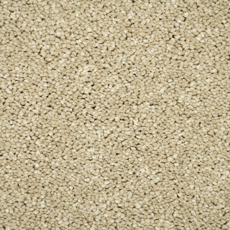 Monterey Sand Sensation Original 60oz Carpet