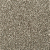 Mink Luxury Saxony Carpet - Close