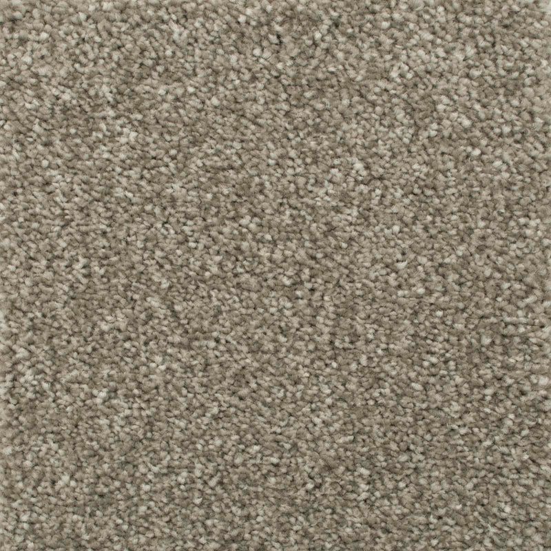 Mink Luxury Saxony Carpet - Close