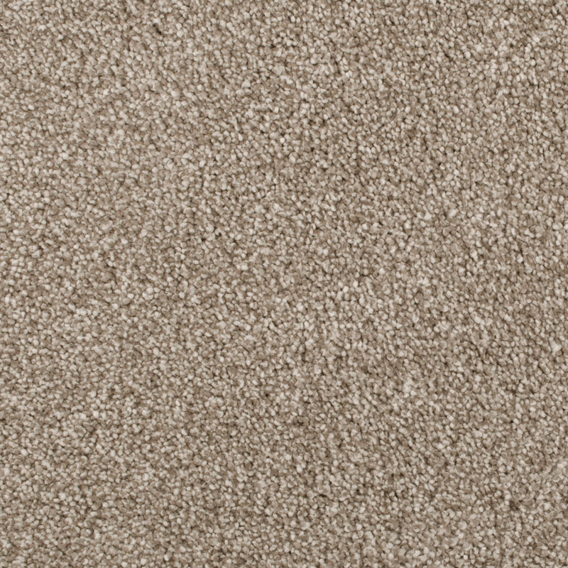 Sable Sensation Heathers 60oz Carpet