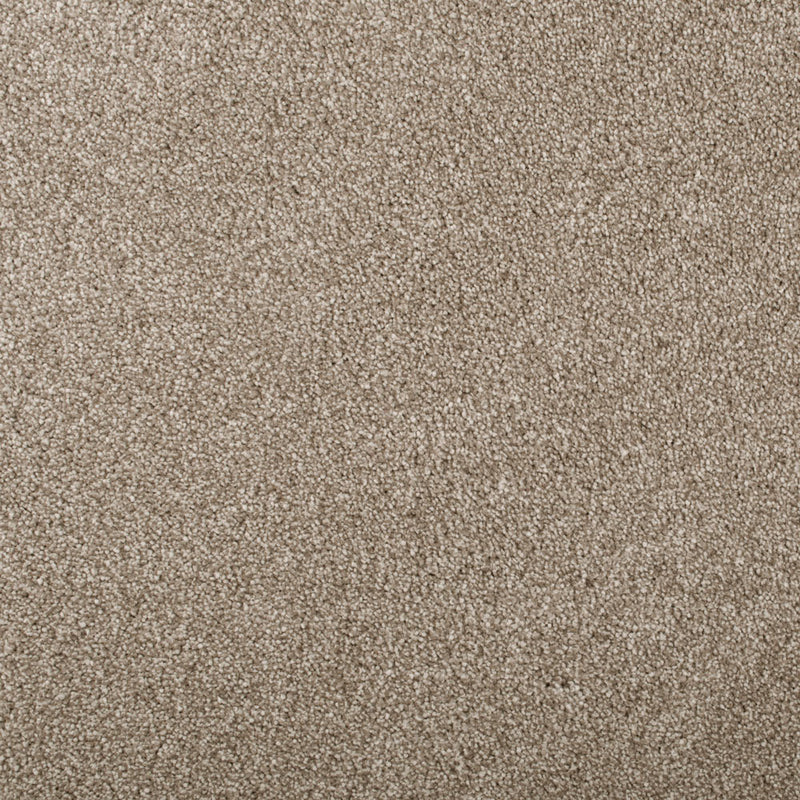 Sable Sensation Heathers 60oz Carpet