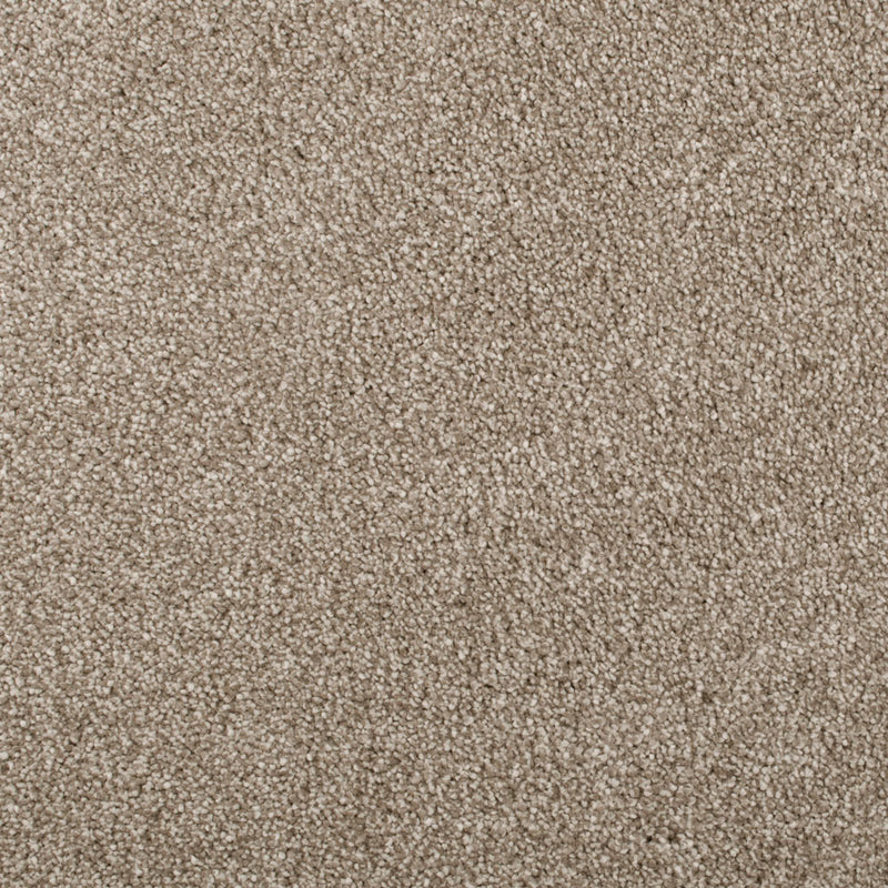 Sable Sensation Heathers 60oz Carpet