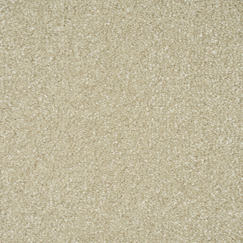 Soft Orchid Sensation Original 60oz Carpet