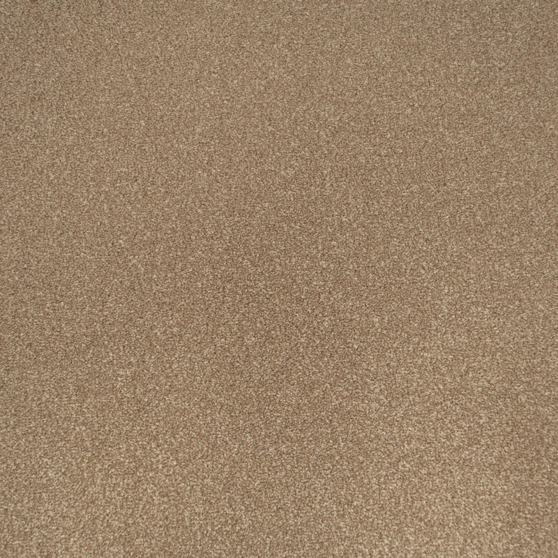 Stepping Stone Apollo Plus Carpet