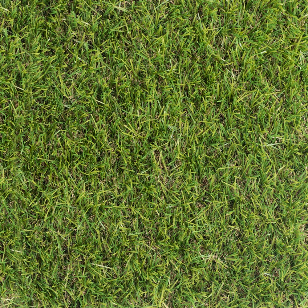 Ackee 35mm Artificial Grass