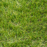 Ackee 35mm Artificial Grass