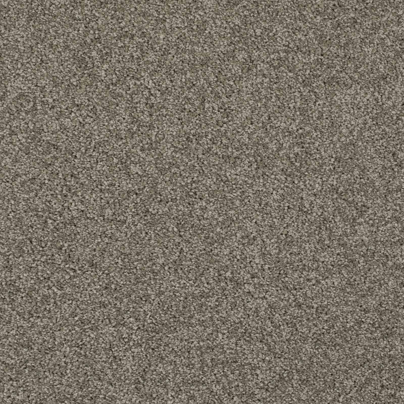 Americano 11 Lasting Romance Love Story Carpet