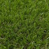 Anise 32mm Artificial Grass